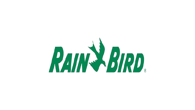 R__2_-removebg-preview